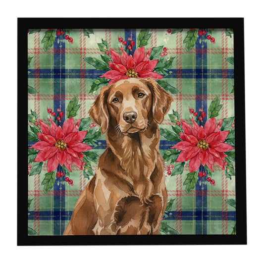Buy this Liver Flat-Coated Retriever Christmas PoinsettIas Framed Metal Print