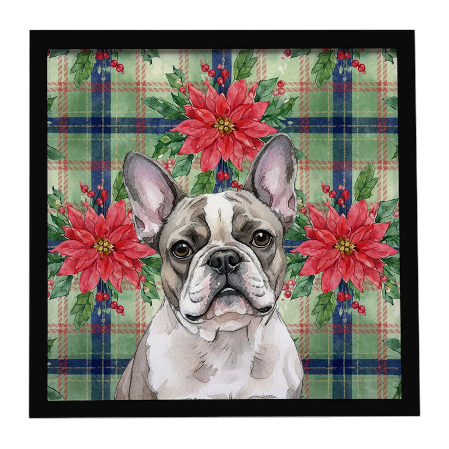 Buy this Pied French Bulldog Christmas PoinsettIas Framed Metal Print