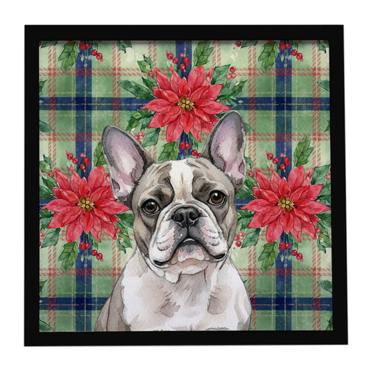 Buy this Pied French Bulldog Christmas PoinsettIas Framed Metal Print
