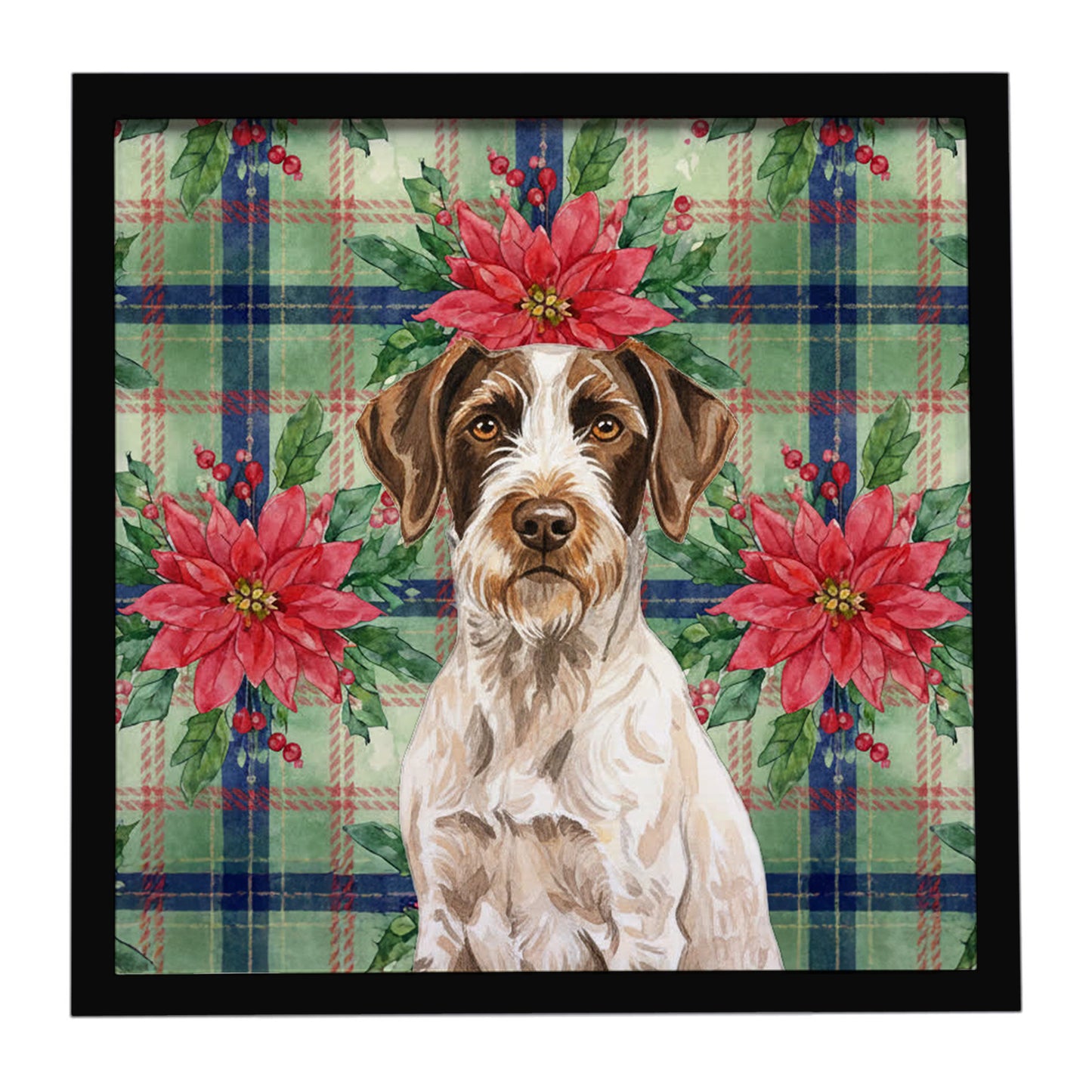 Buy this Liver and White German Wirehaired Pointer Christmas PoinsettIas Framed Metal Print