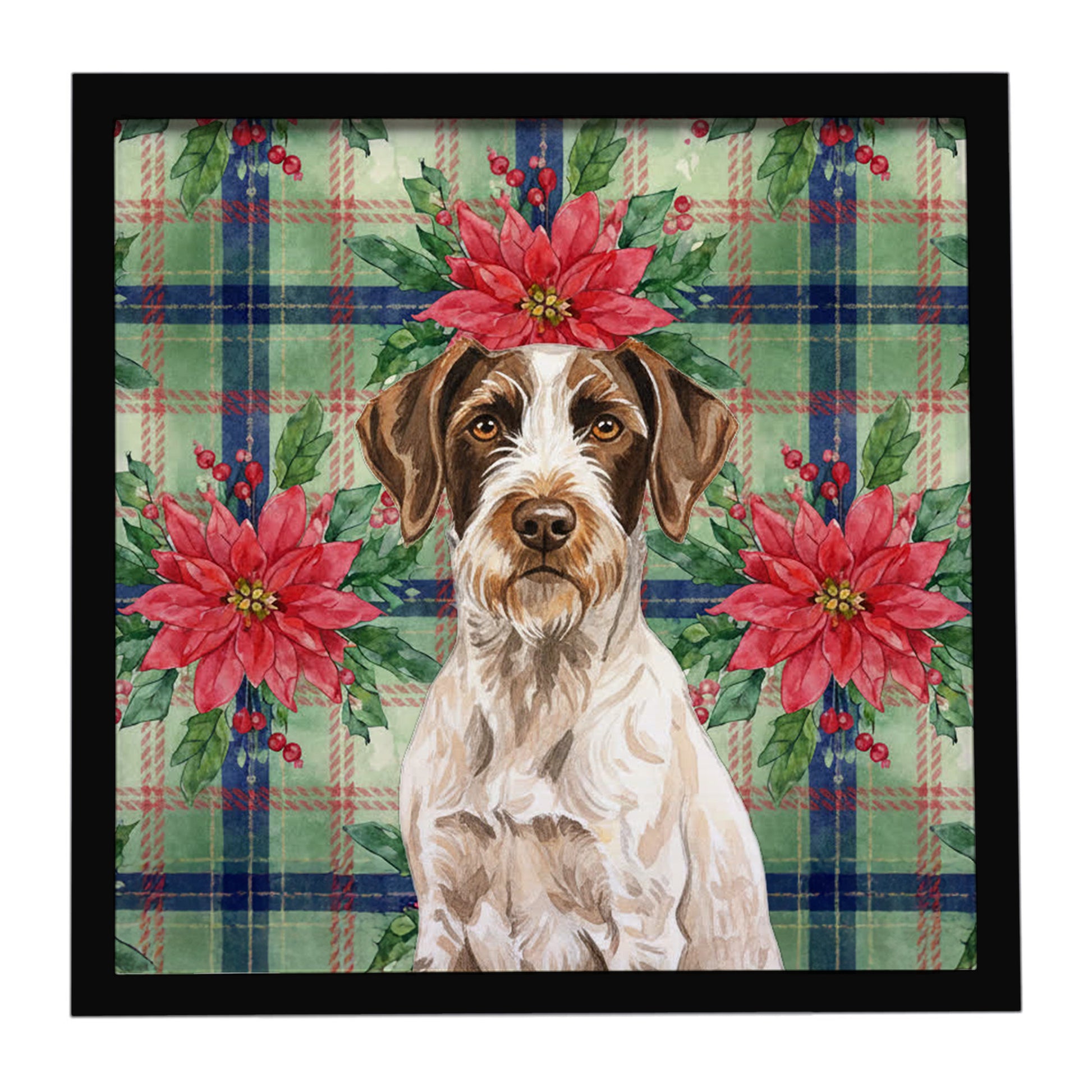 Buy this Liver and White German Wirehaired Pointer Christmas PoinsettIas Framed Metal Print
