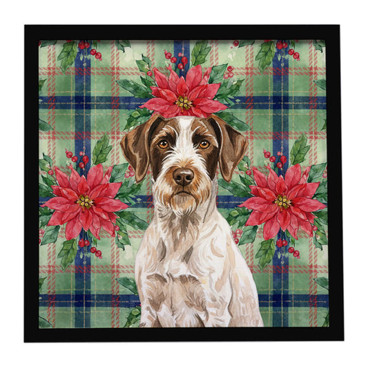 Buy this Liver and White German Wirehaired Pointer Christmas PoinsettIas Framed Metal Print