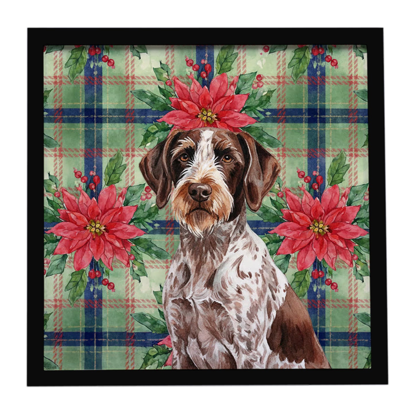 Buy this Roan German Wirehaired Pointer Christmas PoinsettIas Framed Metal Print