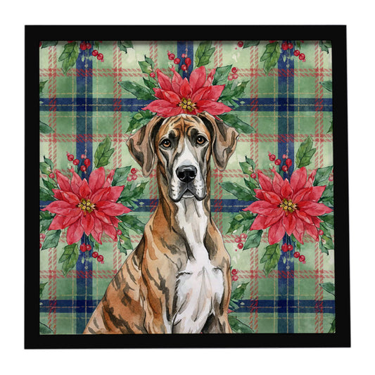 Buy this Brindle Great Dane Christmas PoinsettIas Framed Metal Print