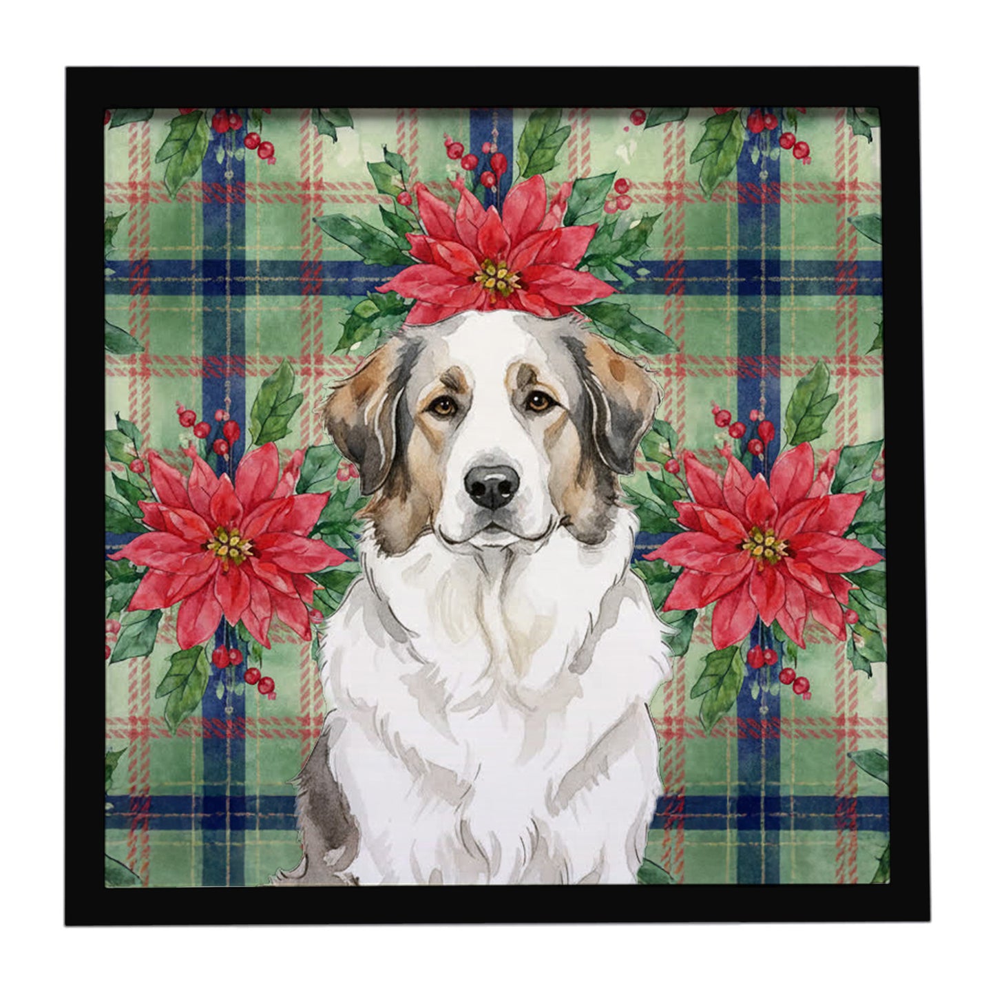 Buy this Badger Great Pyrenees Christmas PoinsettIas Framed Metal Print