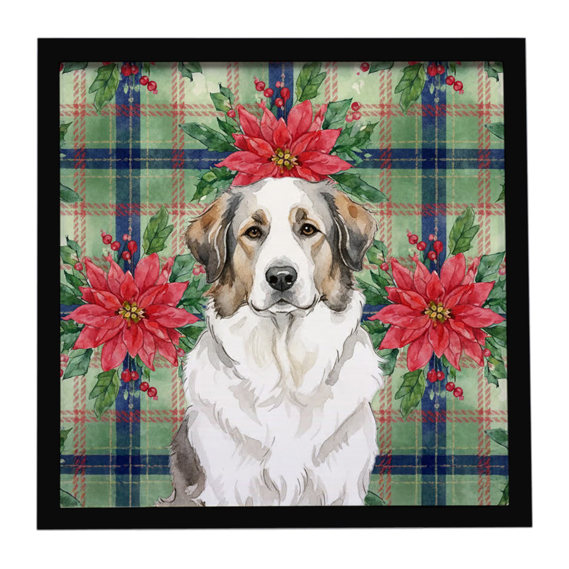 Buy this Badger Great Pyrenees Christmas PoinsettIas Framed Metal Print