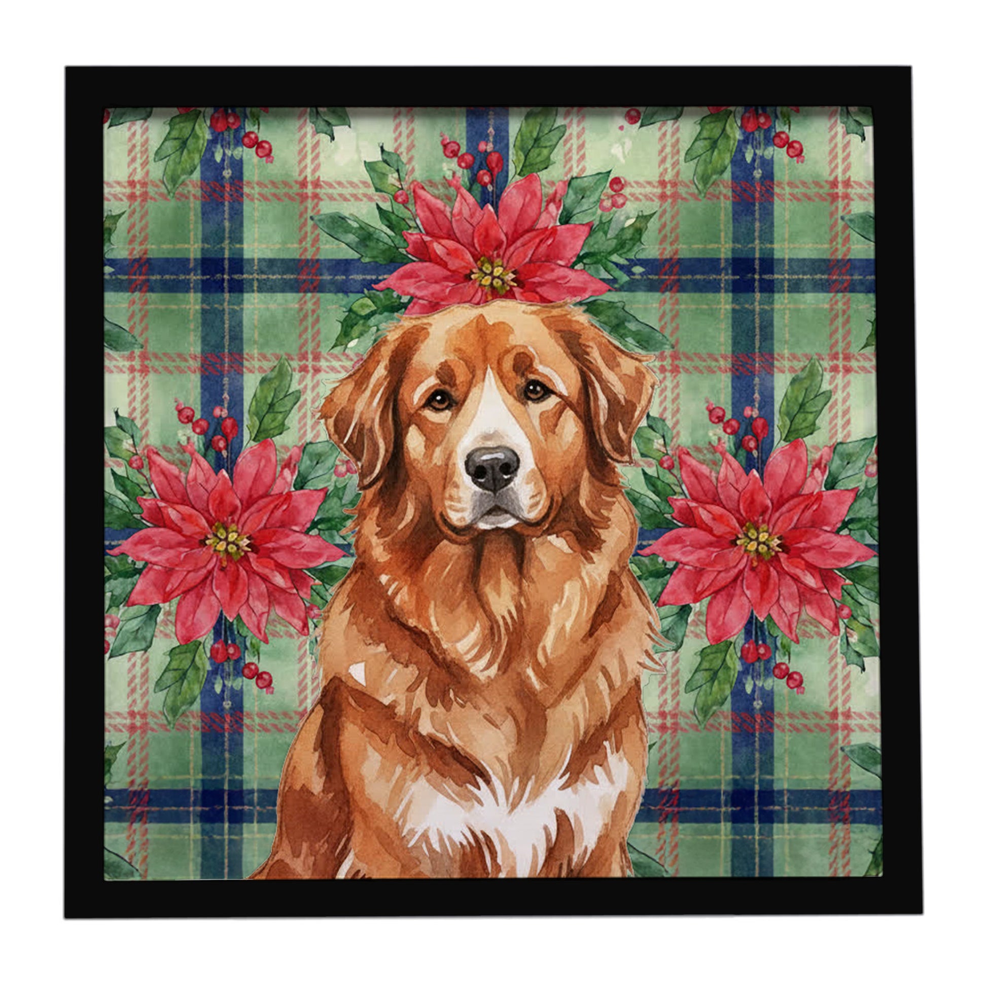 Buy this Reddish Brown Great Pyrenees Christmas PoinsettIas Framed Metal Print