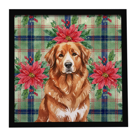 Buy this Reddish Brown Great Pyrenees Christmas PoinsettIas Framed Metal Print