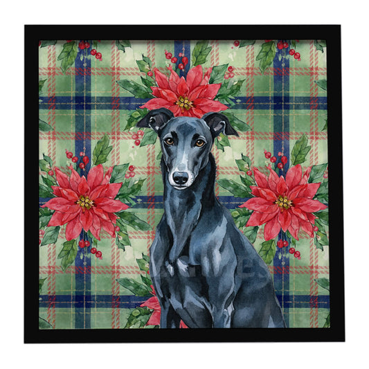 Buy this Black Greyhound Christmas PoinsettIas Framed Metal Print