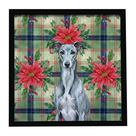 Buy this Blue Brindle Greyhound Christmas PoinsettIas Framed Metal Print
