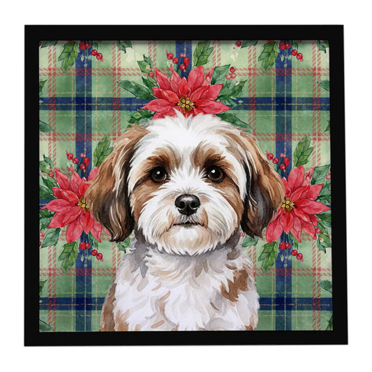 Buy this Parti-color Havanese Christmas PoinsettIas Framed Metal Print