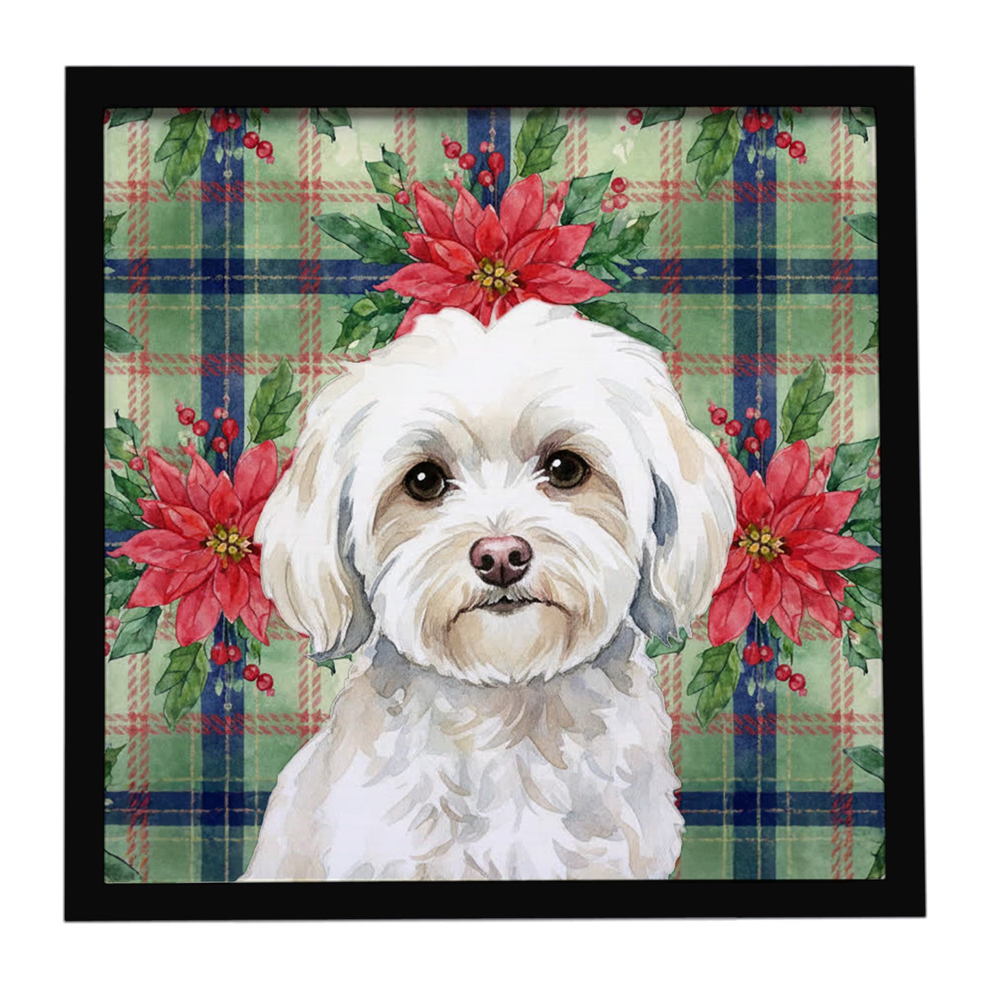 Buy this White Havanese Christmas PoinsettIas Framed Metal Print