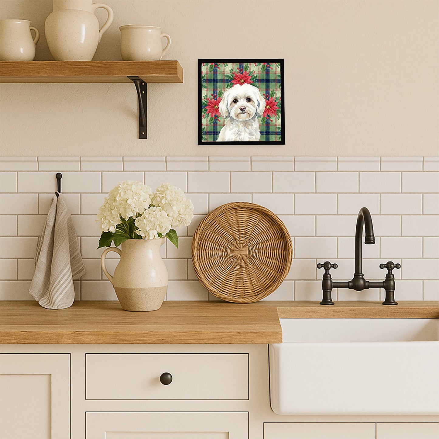 White Havanese Christmas PoinsettIas Framed Metal Print