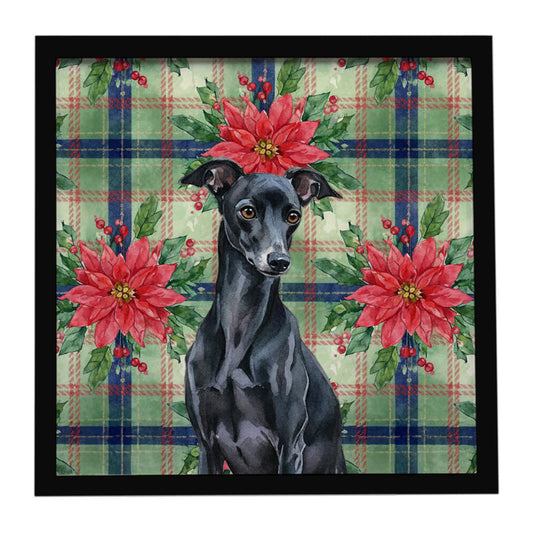 Buy this Black Italian Greyhound Christmas PoinsettIas Framed Metal Print