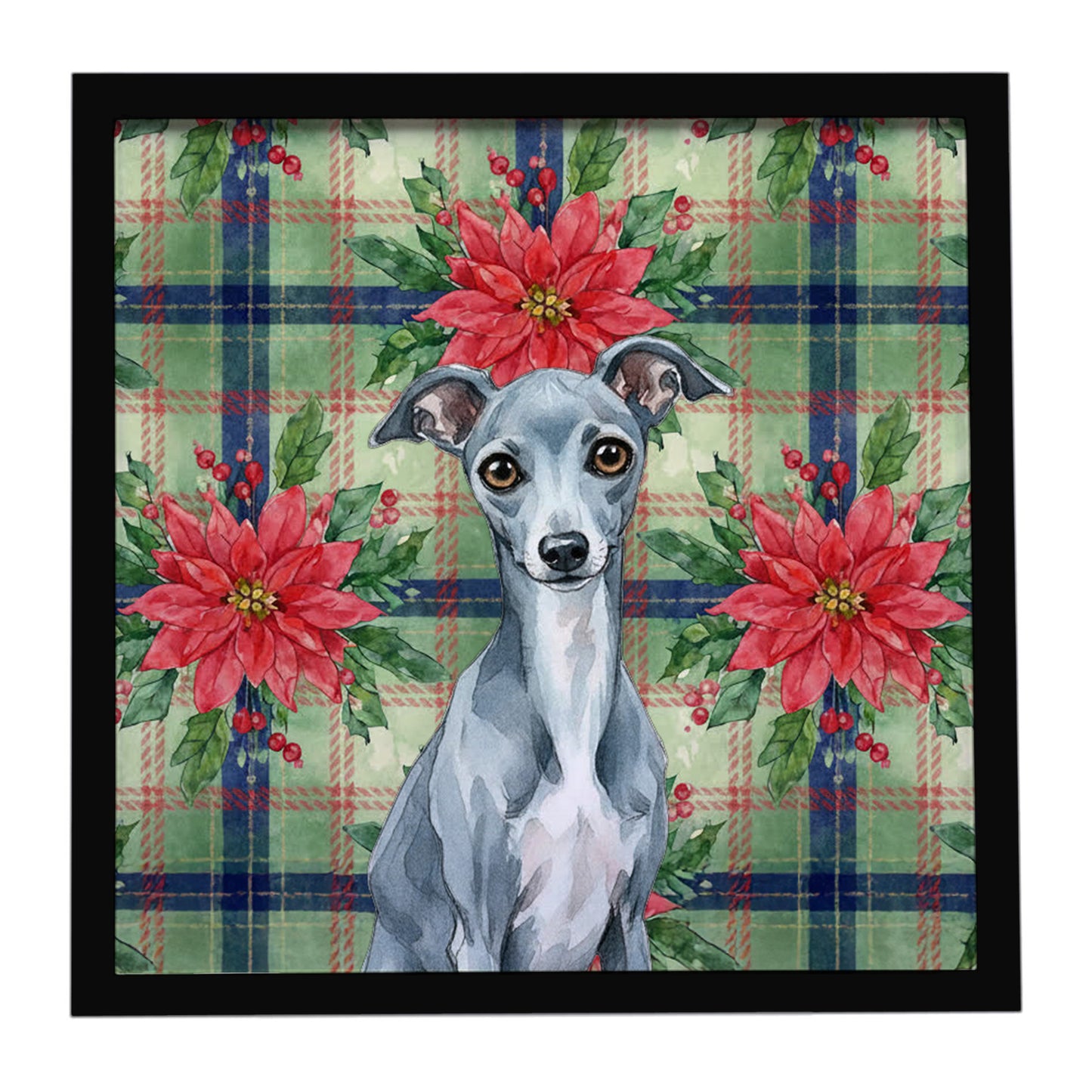 Buy this Blue Italian Greyhound Christmas PoinsettIas Framed Metal Print