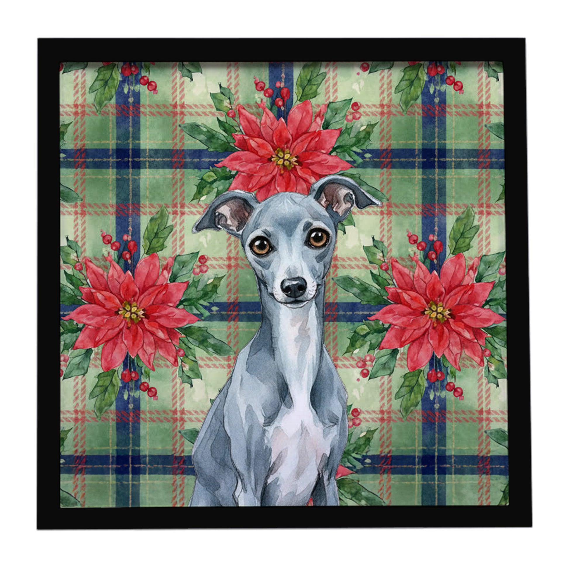 Buy this Blue Italian Greyhound Christmas PoinsettIas Framed Metal Print
