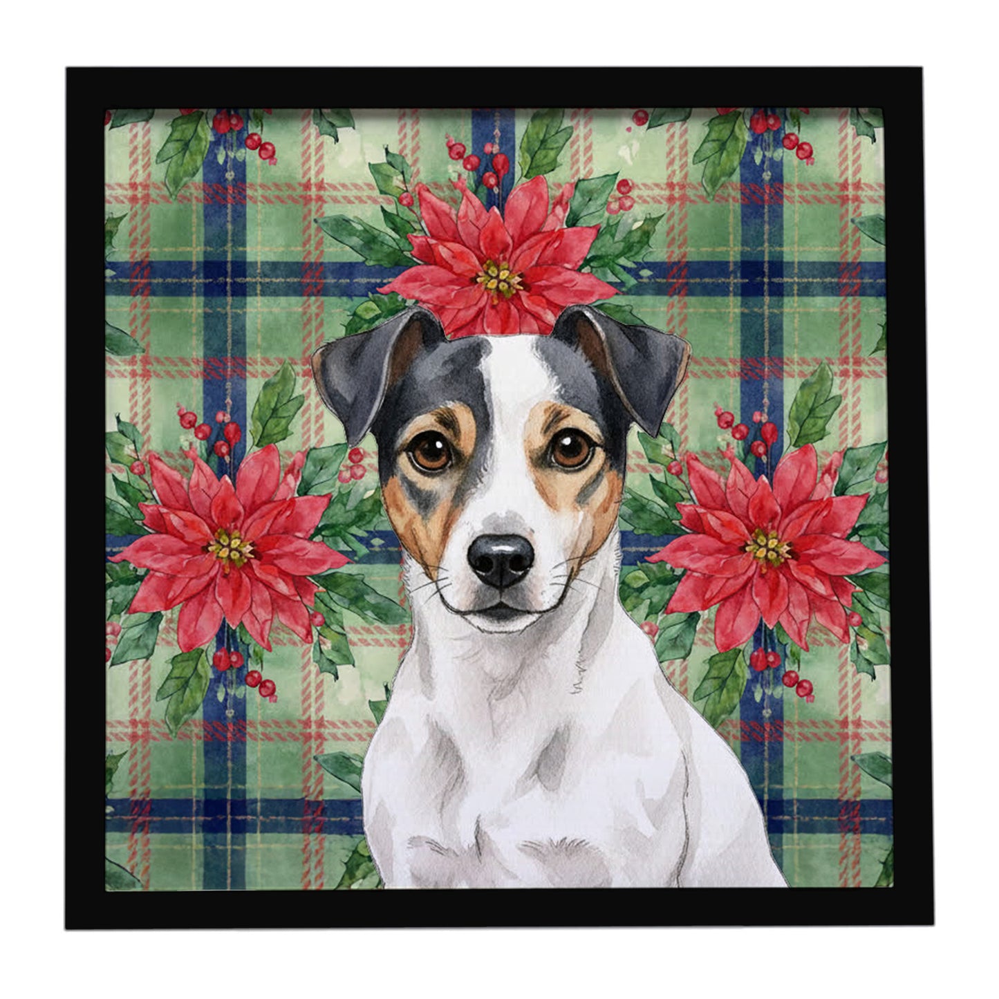 Buy this White and Black Jack Russell Terrier Christmas PoinsettIas Framed Metal Print