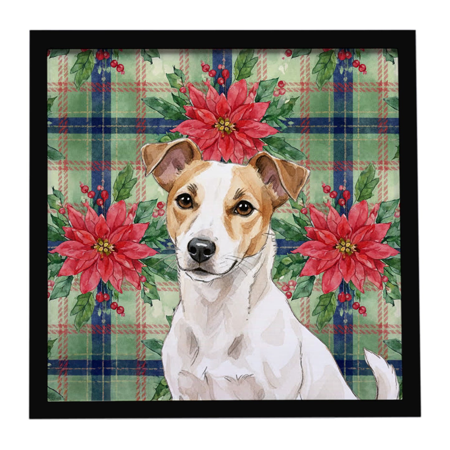 Buy this White and Tan Jack Russell Terrier Christmas PoinsettIas Framed Metal Print