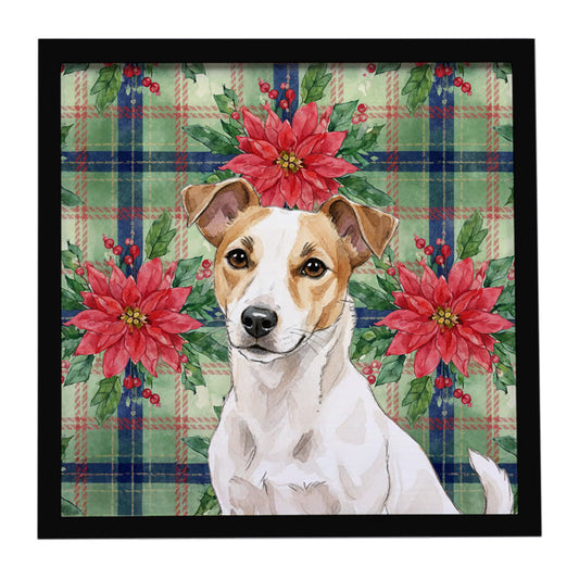 Buy this White and Tan Jack Russell Terrier Christmas PoinsettIas Framed Metal Print