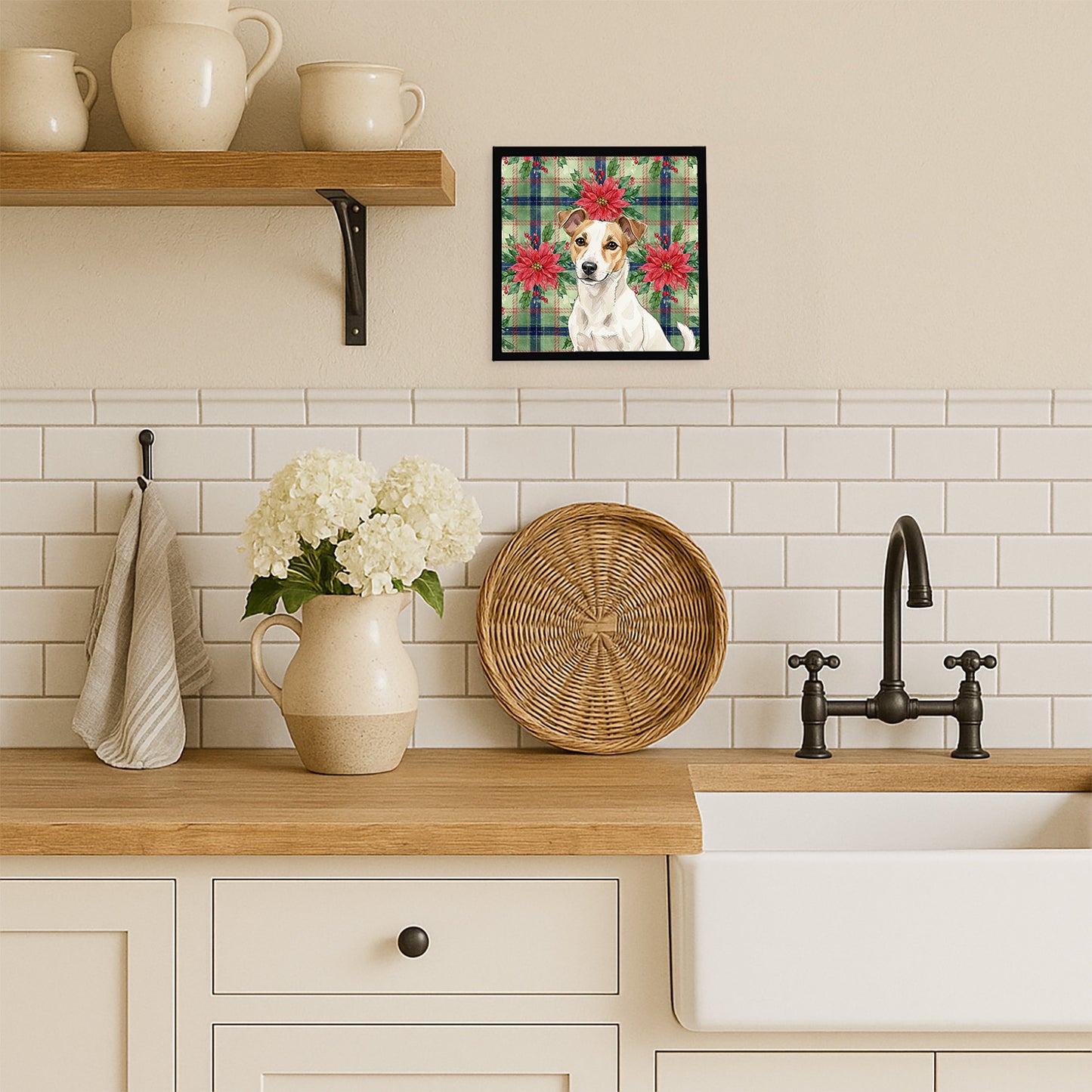 White and Tan Jack Russell Terrier Christmas PoinsettIas Framed Metal Print