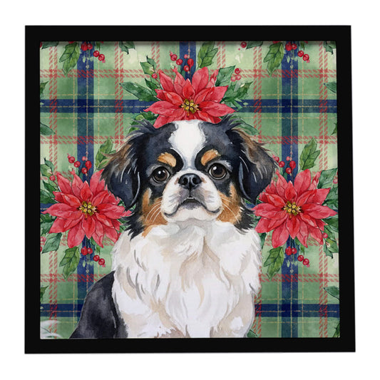 Buy this Tricolor Japanese Chin Christmas PoinsettIas Framed Metal Print