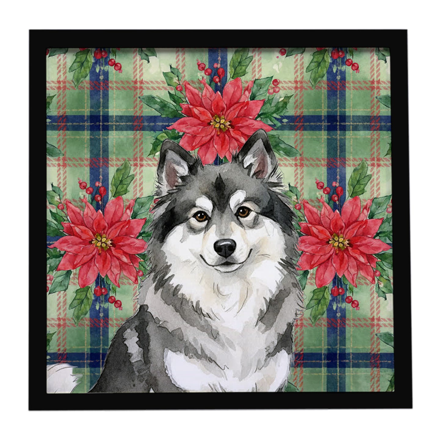 Buy this Keeshond Christmas PoinsettIas Framed Metal Print
