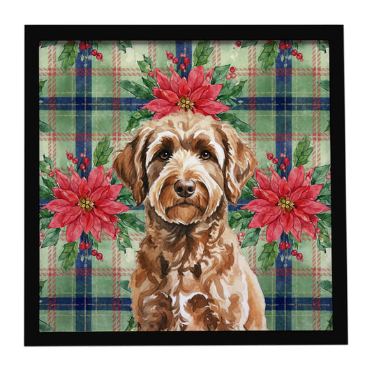 Buy this Chocolate Labradoodle Christmas PoinsettIas Framed Metal Print