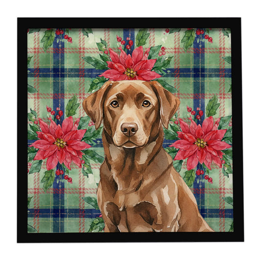 Buy this Chocolate Labrador Retriever Christmas PoinsettIas Framed Metal Print