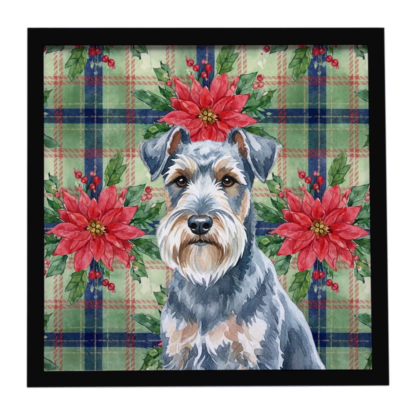 Buy this Blue Lakeland Terrier Christmas PoinsettIas Framed Metal Print