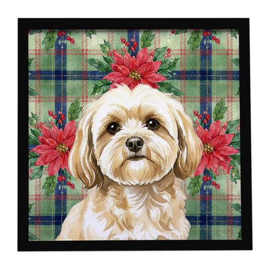 Buy this Cream Lhasa Apso Christmas PoinsettIas Framed Metal Print