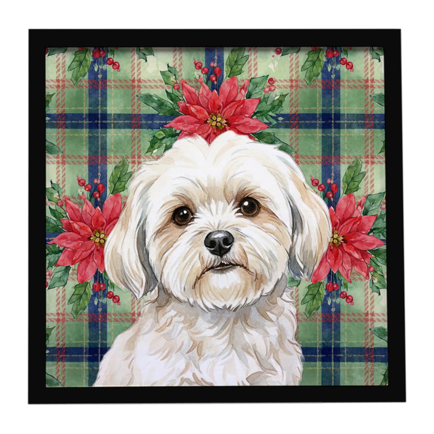 Buy this White Lhasa Apso Christmas PoinsettIas Framed Metal Print