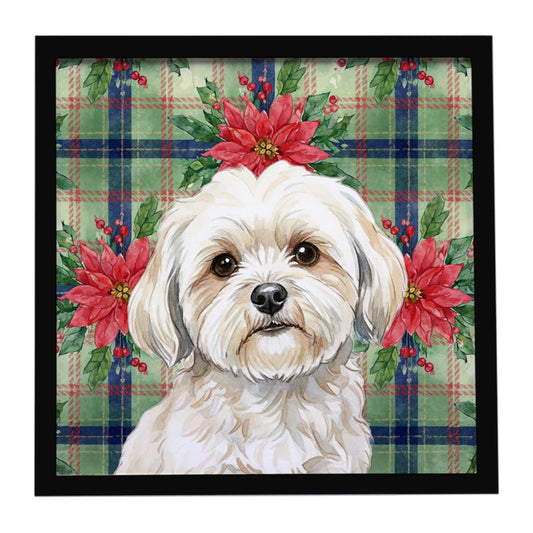 Buy this White Lhasa Apso Christmas PoinsettIas Framed Metal Print