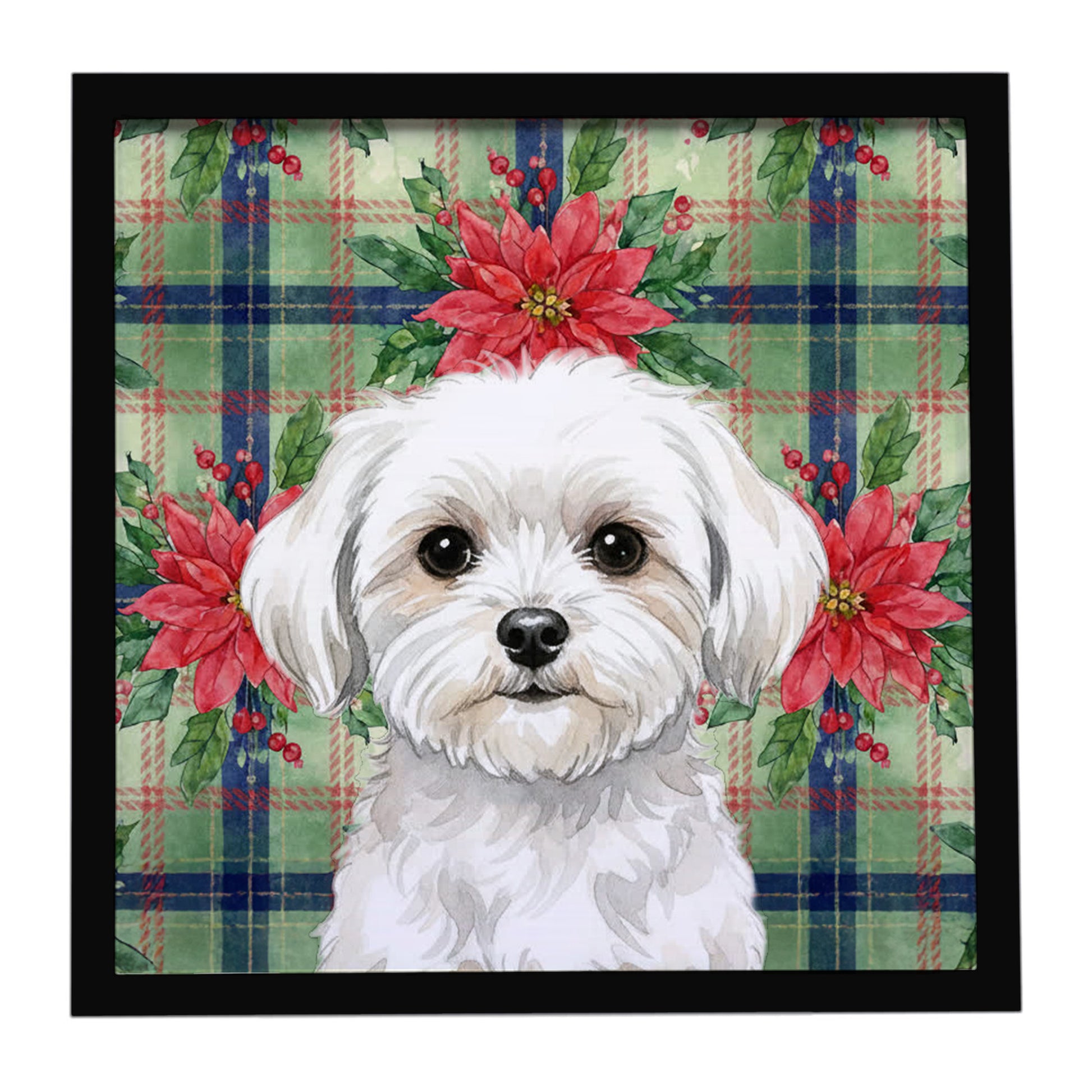 Buy this Maltese Christmas PoinsettIas Framed Metal Print
