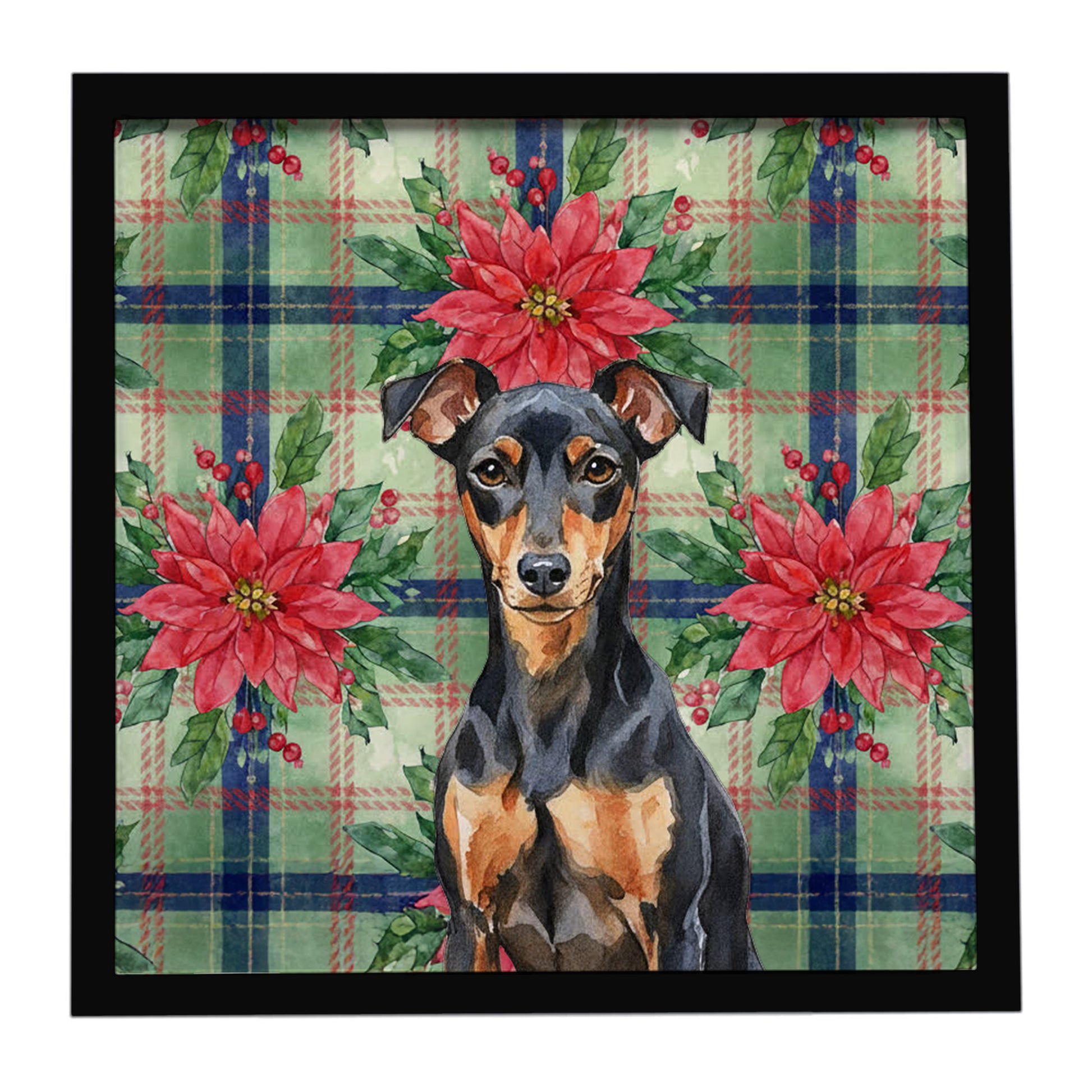 Buy this Manchester Terrier Christmas PoinsettIas Framed Metal Print