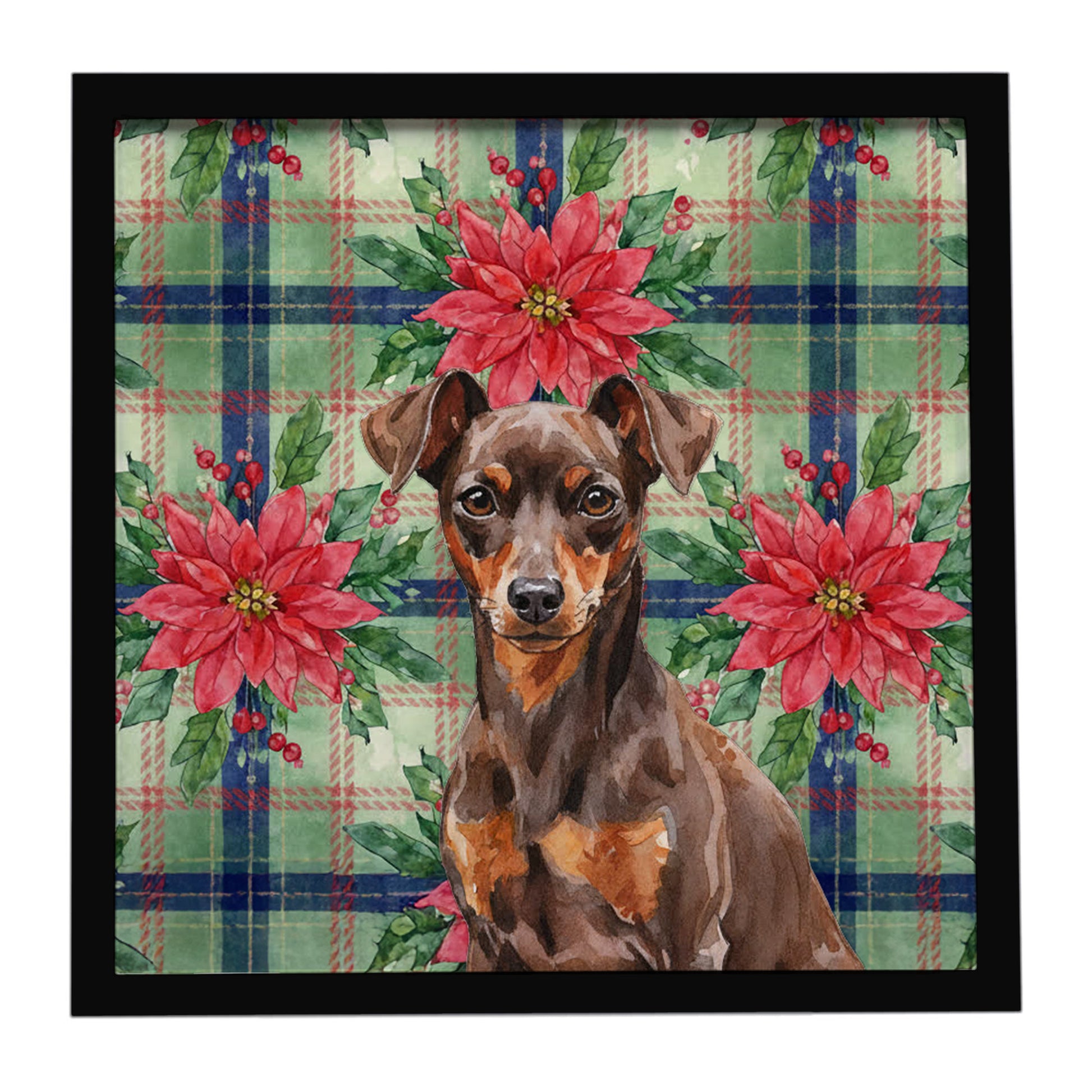 Buy this Chocolate and Rust Miniature Pinscher Min Pin Christmas PoinsettIas Framed Metal Print