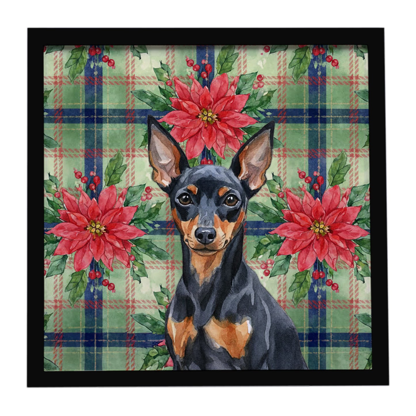 Buy this Black and Tan Miniature Pinscher Christmas PoinsettIas Framed Metal Print