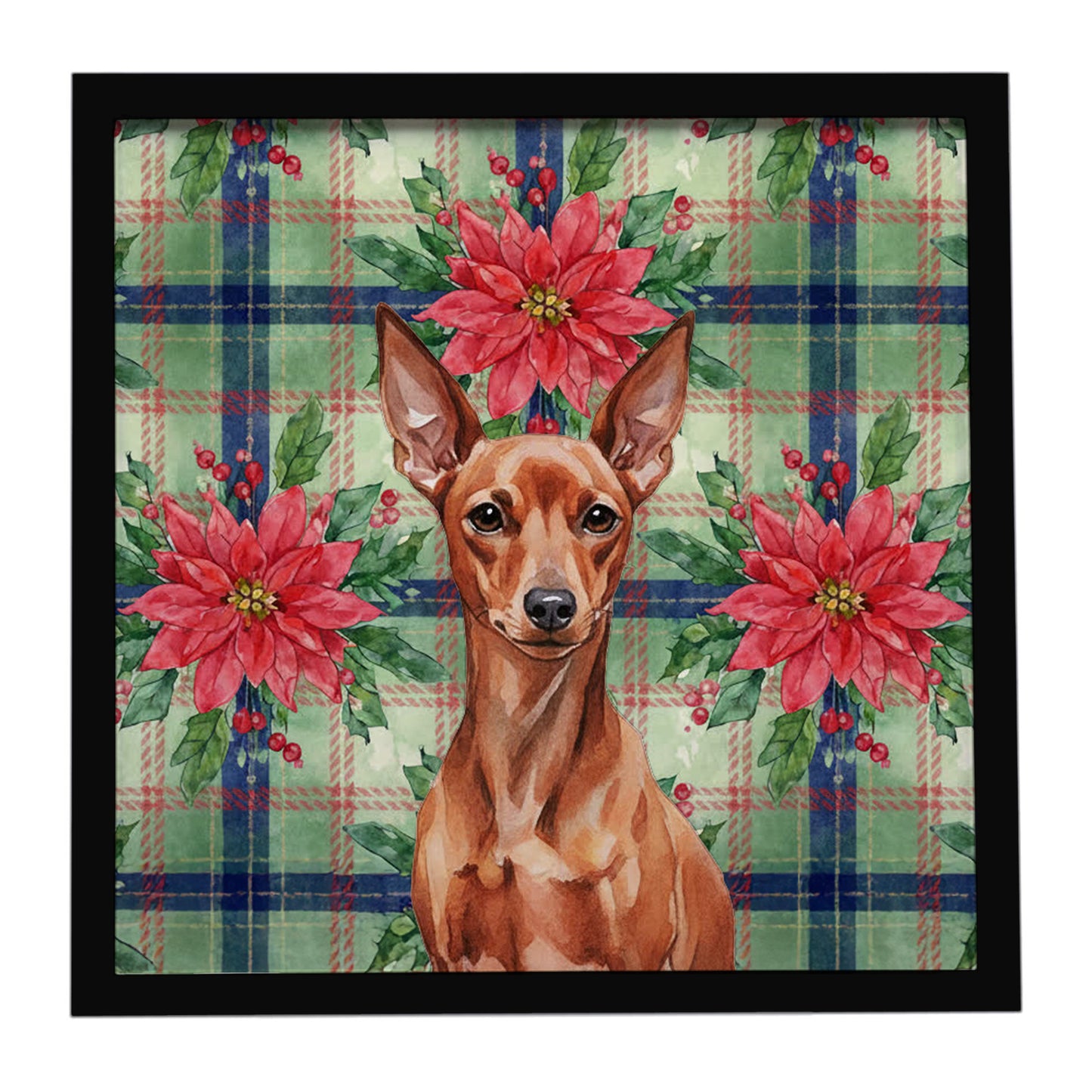 Buy this Red Miniature Pinscher Min Pin Christmas PoinsettIas Framed Metal Print