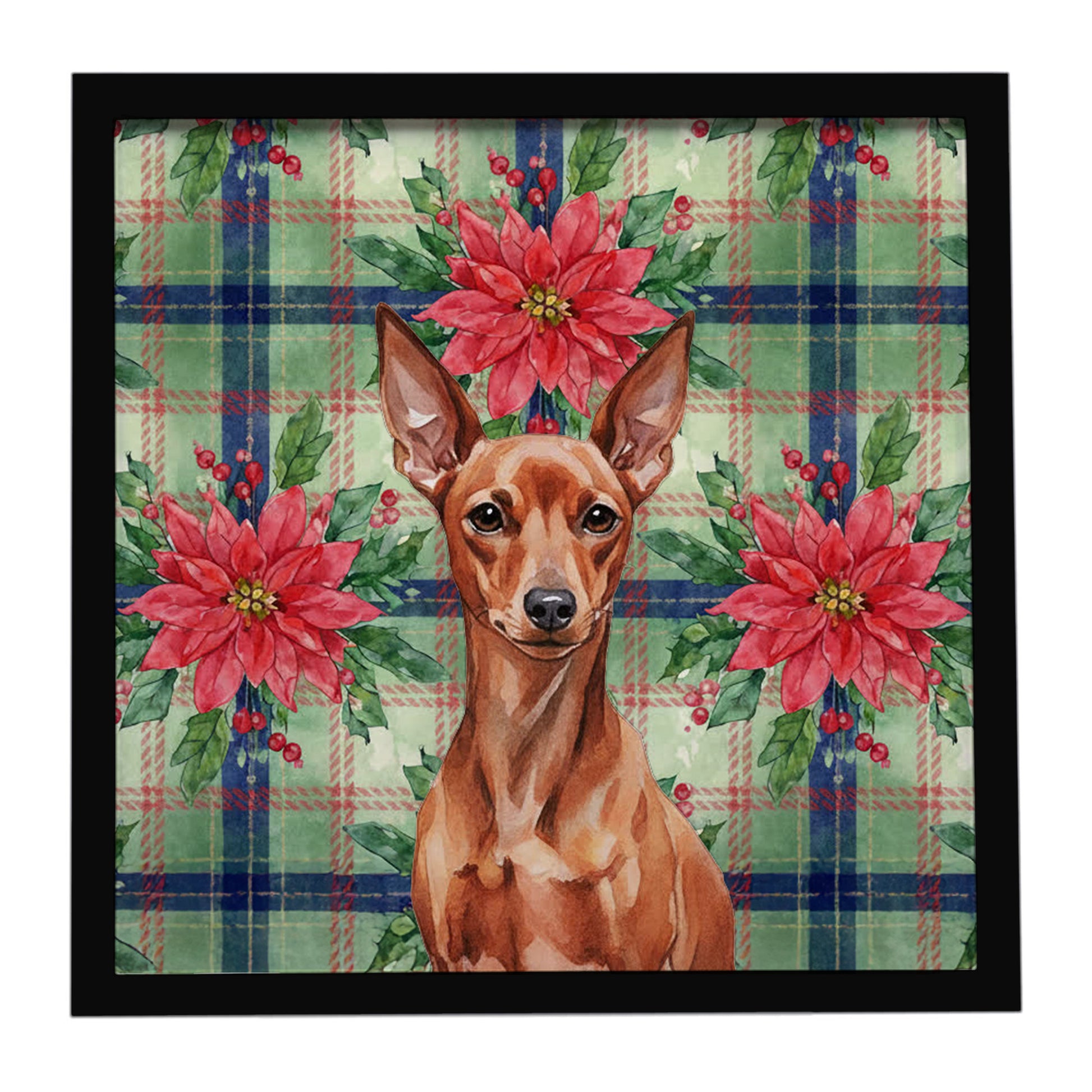 Buy this Red Miniature Pinscher Min Pin Christmas PoinsettIas Framed Metal Print