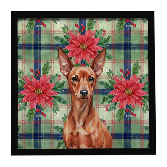 Buy this Red Miniature Pinscher Min Pin Christmas PoinsettIas Framed Metal Print