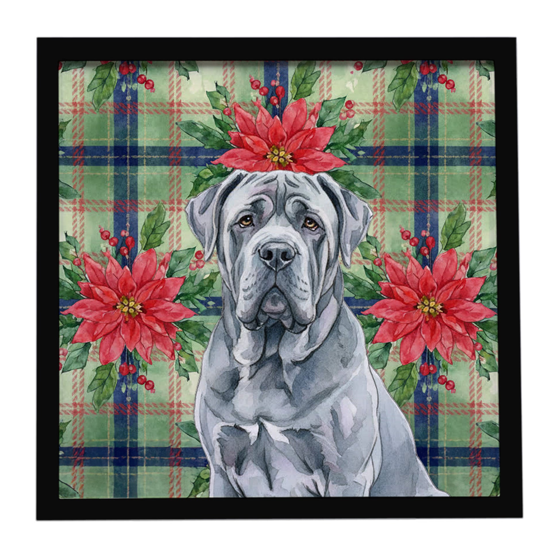 Buy this Blue Neapolitan Mastiff Christmas PoinsettIas Framed Metal Print