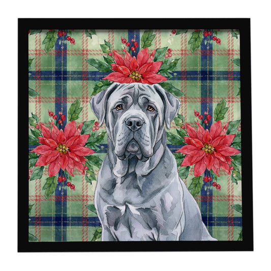 Buy this Blue Neapolitan Mastiff Christmas PoinsettIas Framed Metal Print