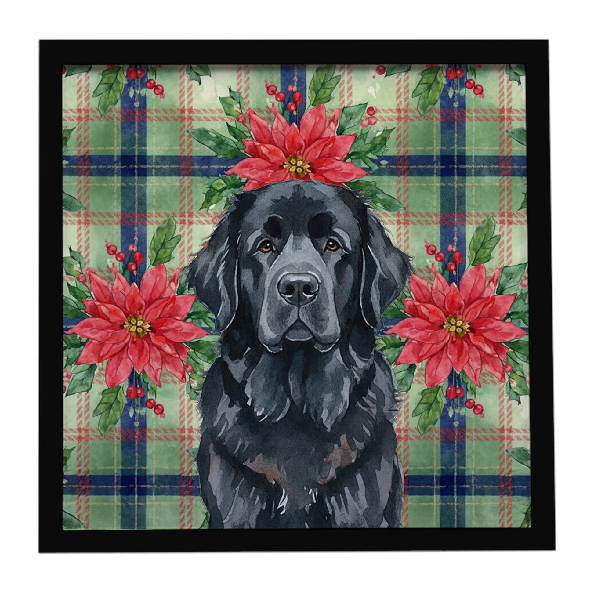 Buy this Black Newfoundland Christmas PoinsettIas Framed Metal Print