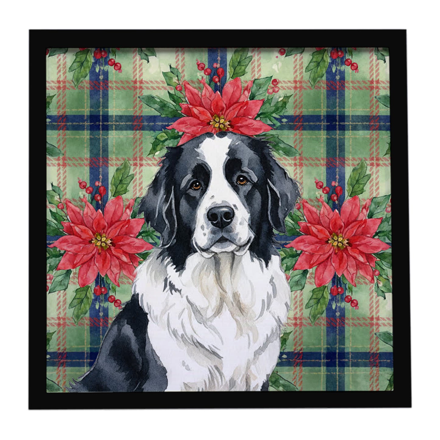 Buy this Landseer Newfoundland Christmas PoinsettIas Framed Metal Print