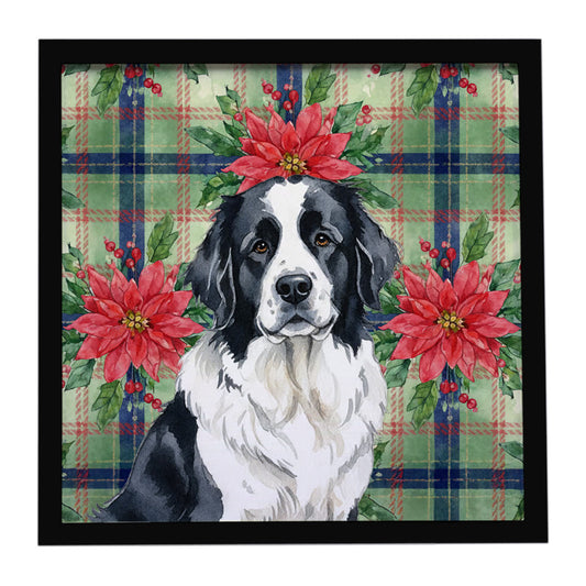 Buy this Landseer Newfoundland Christmas PoinsettIas Framed Metal Print