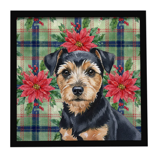 Buy this Black and Tan Norfolk Terrier Christmas PoinsettIas Framed Metal Print