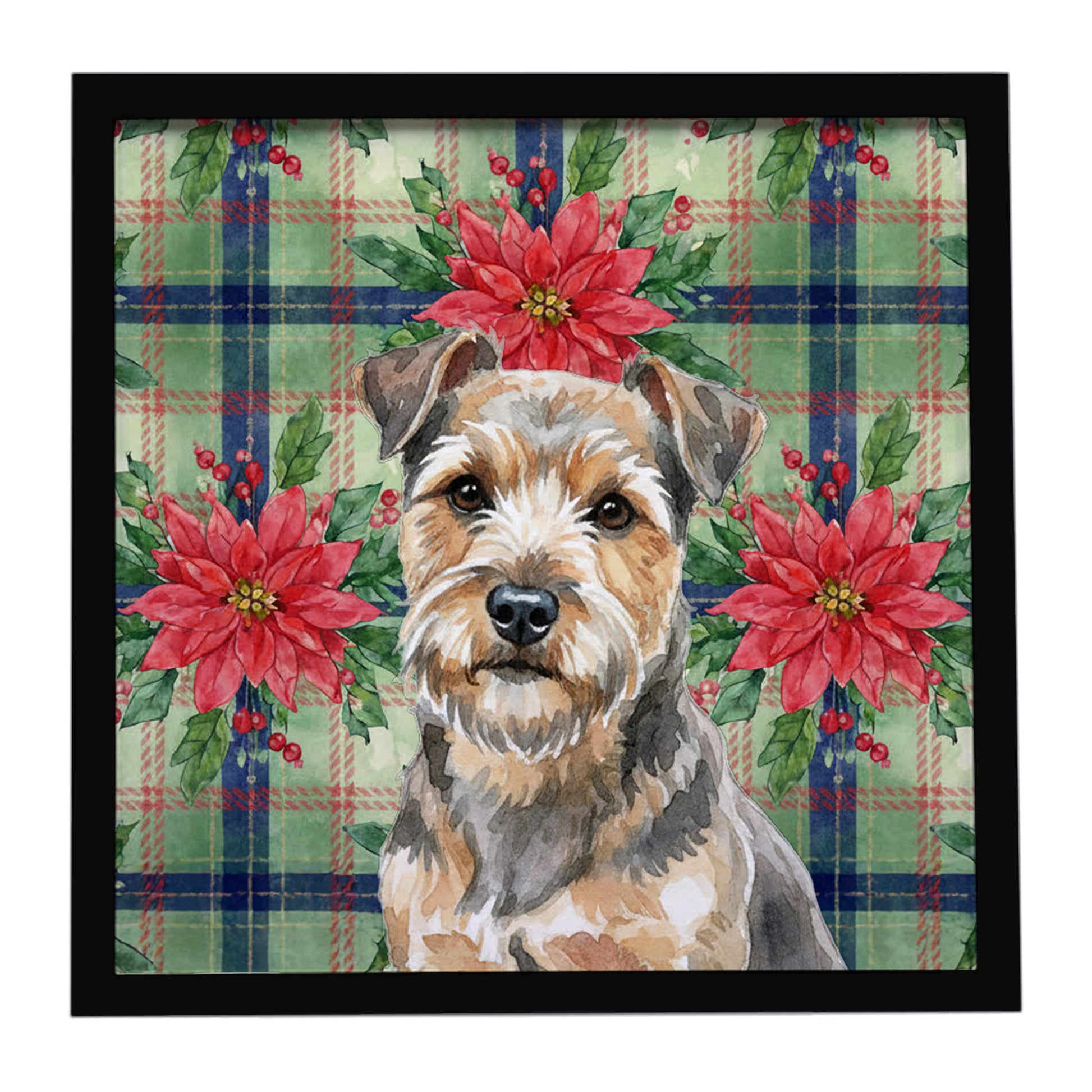 Buy this Grizzle and Tan Norfolk Terrier Christmas PoinsettIas Framed Metal Print
