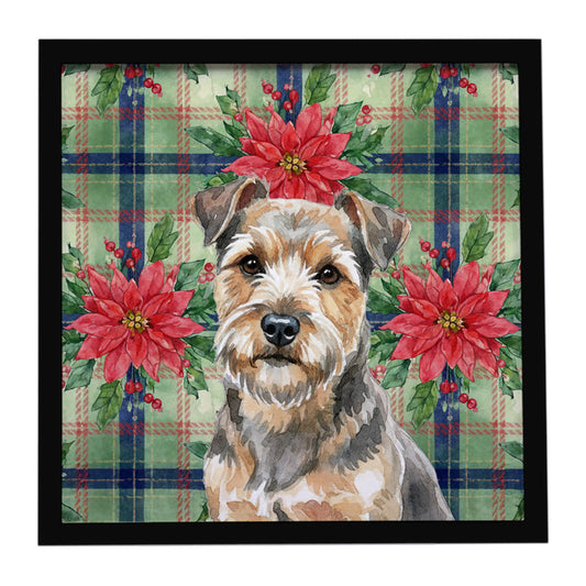 Buy this Grizzle and Tan Norfolk Terrier Christmas PoinsettIas Framed Metal Print