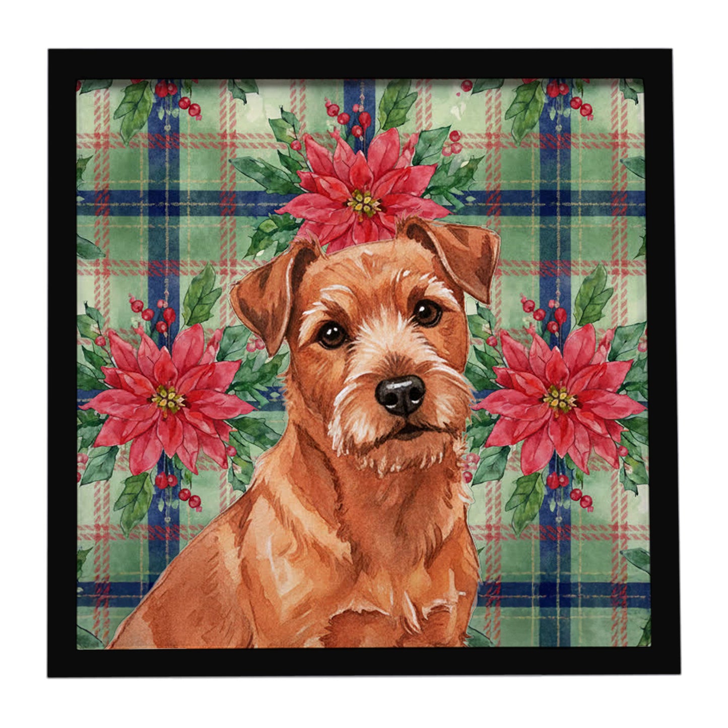Buy this Red Norfolk Terrier Christmas PoinsettIas Framed Metal Print