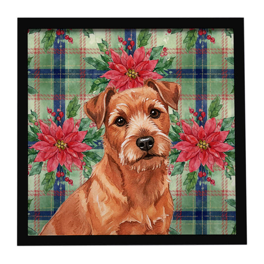 Buy this Red Norfolk Terrier Christmas PoinsettIas Framed Metal Print
