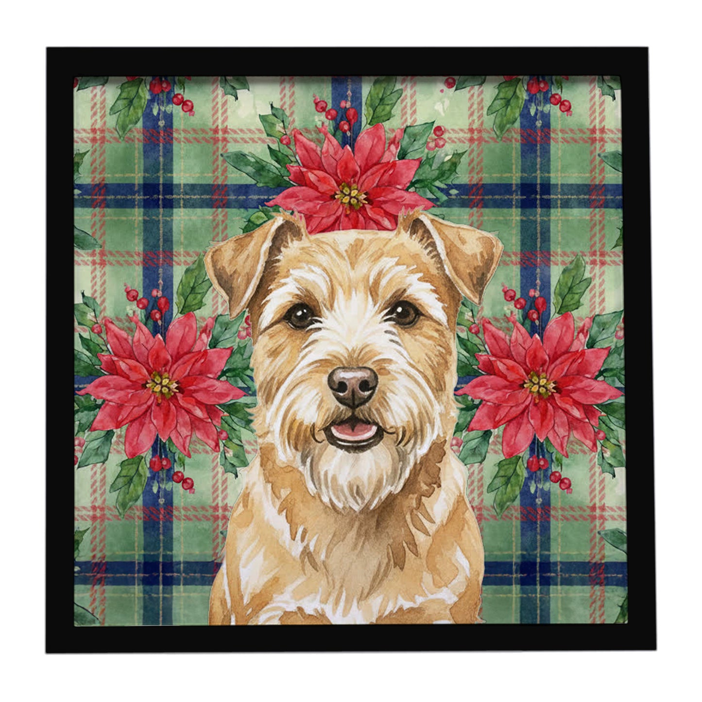 Buy this Wheaten Norfolk Terrier Christmas PoinsettIas Framed Metal Print